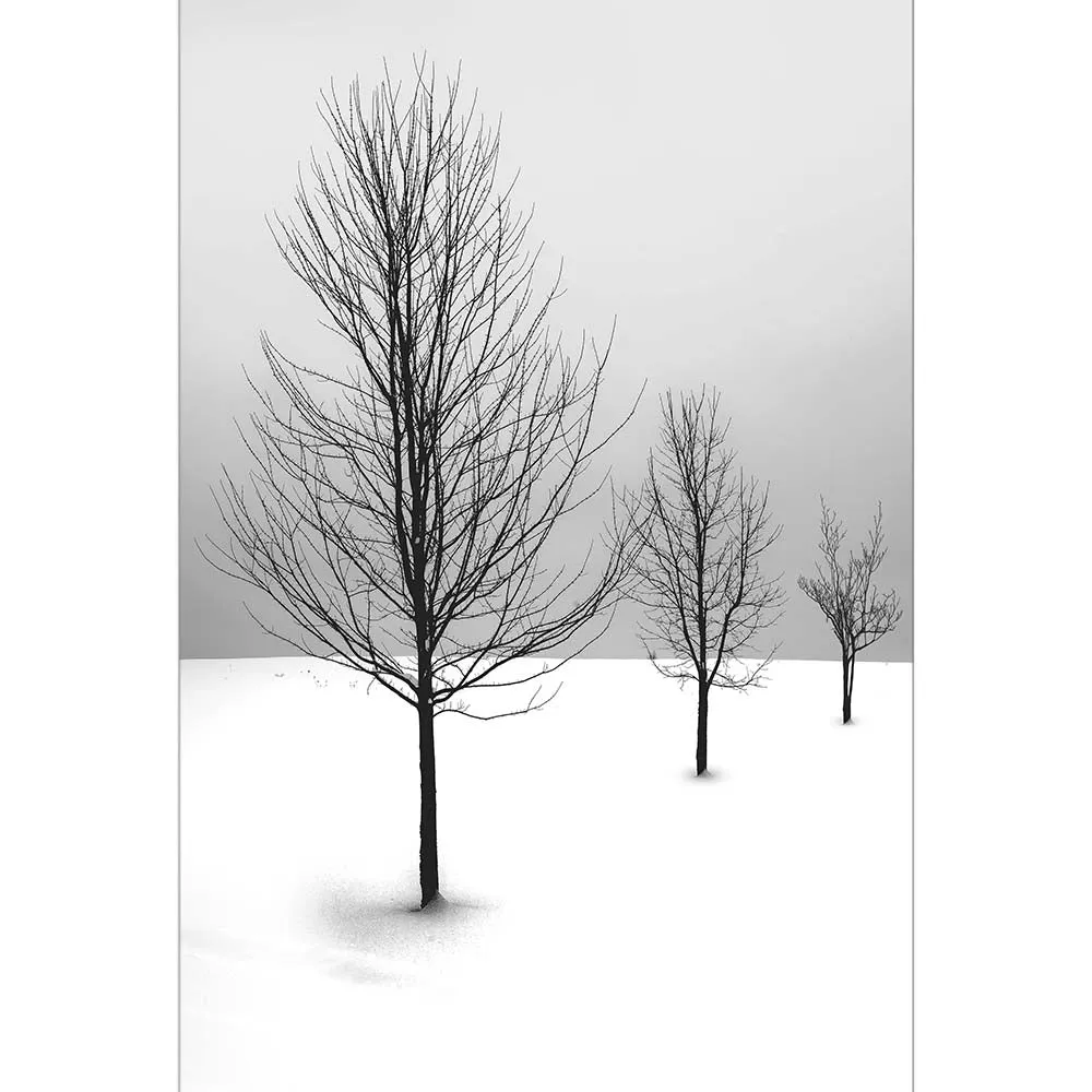 Cold Desert