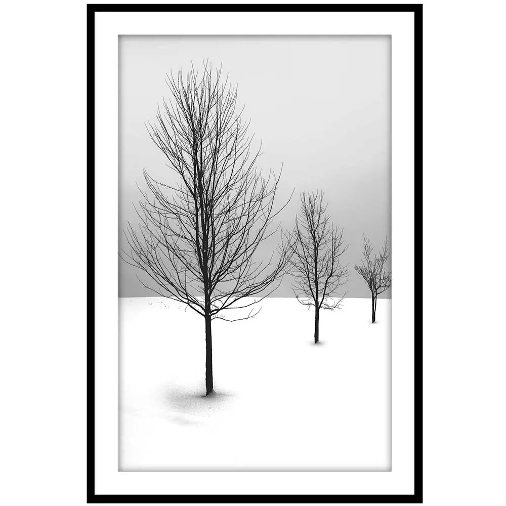 Cold Desert