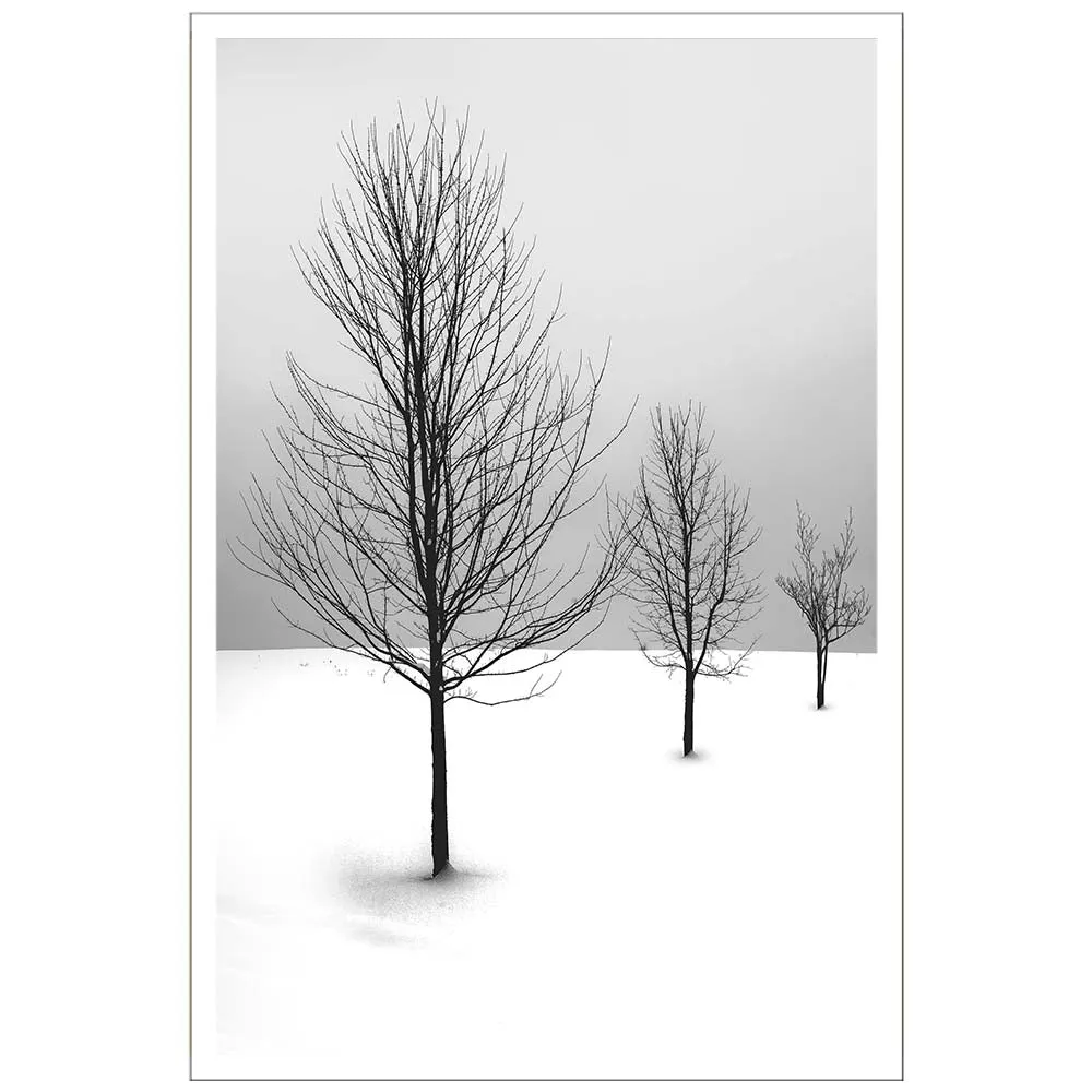 Cold Desert