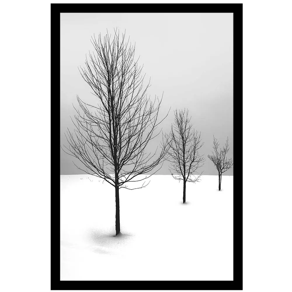 Cold Desert