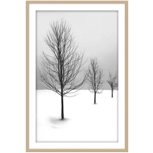 Cold Desert