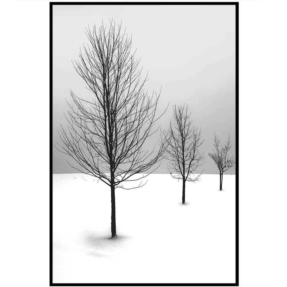 Cold Desert