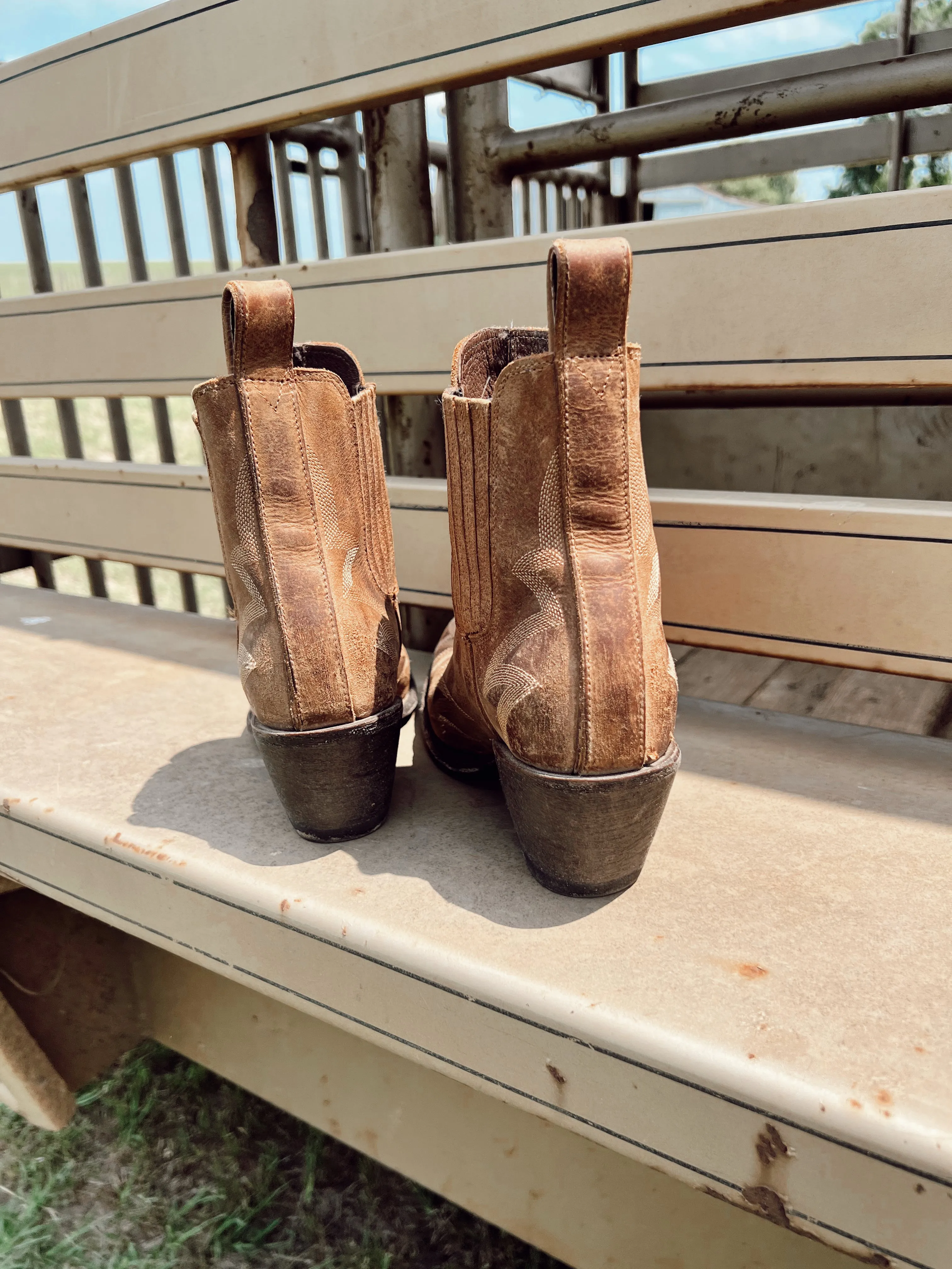Old Gringo Gaucho Booties in Honey