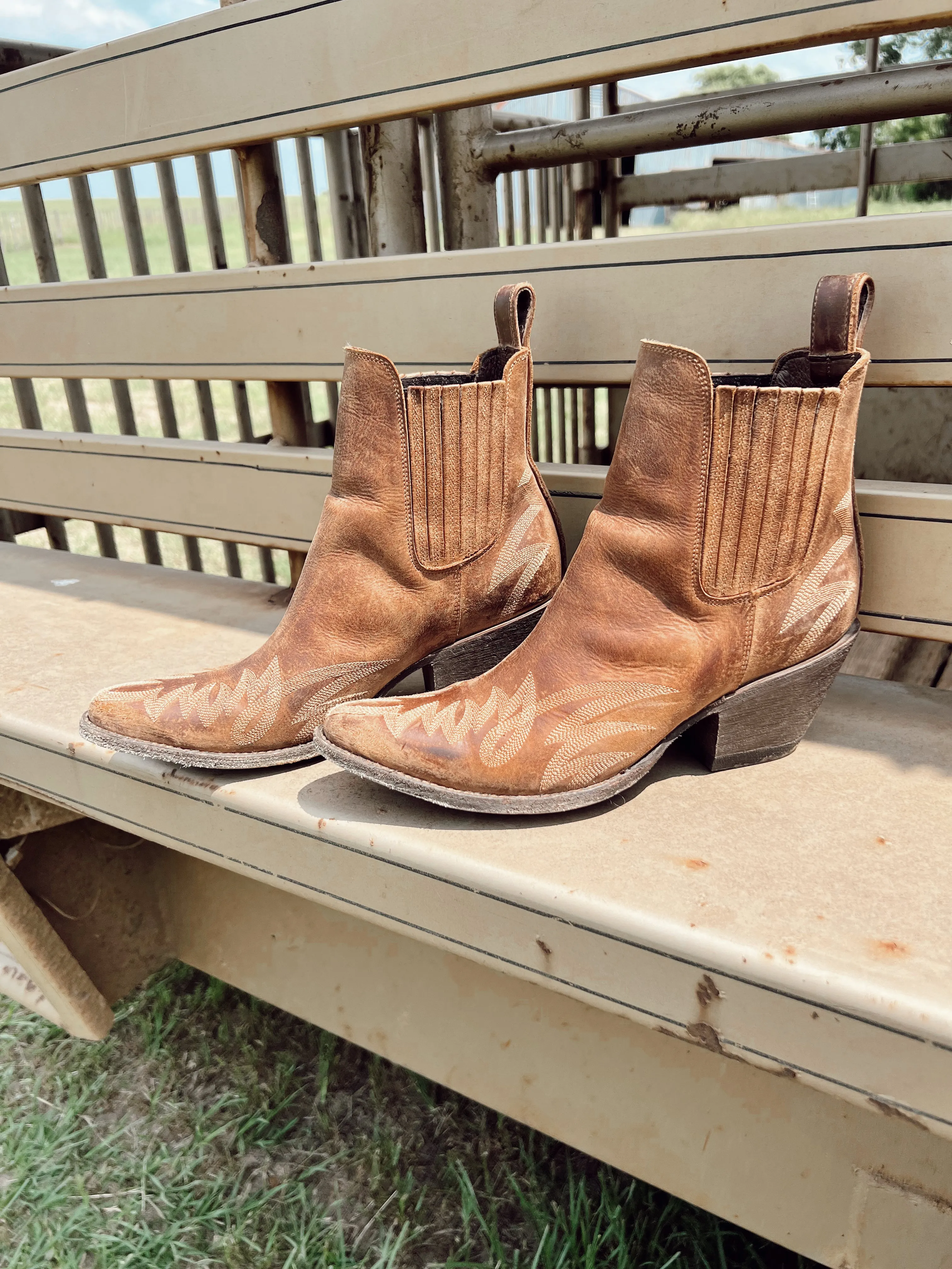 Old Gringo Gaucho Booties in Honey
