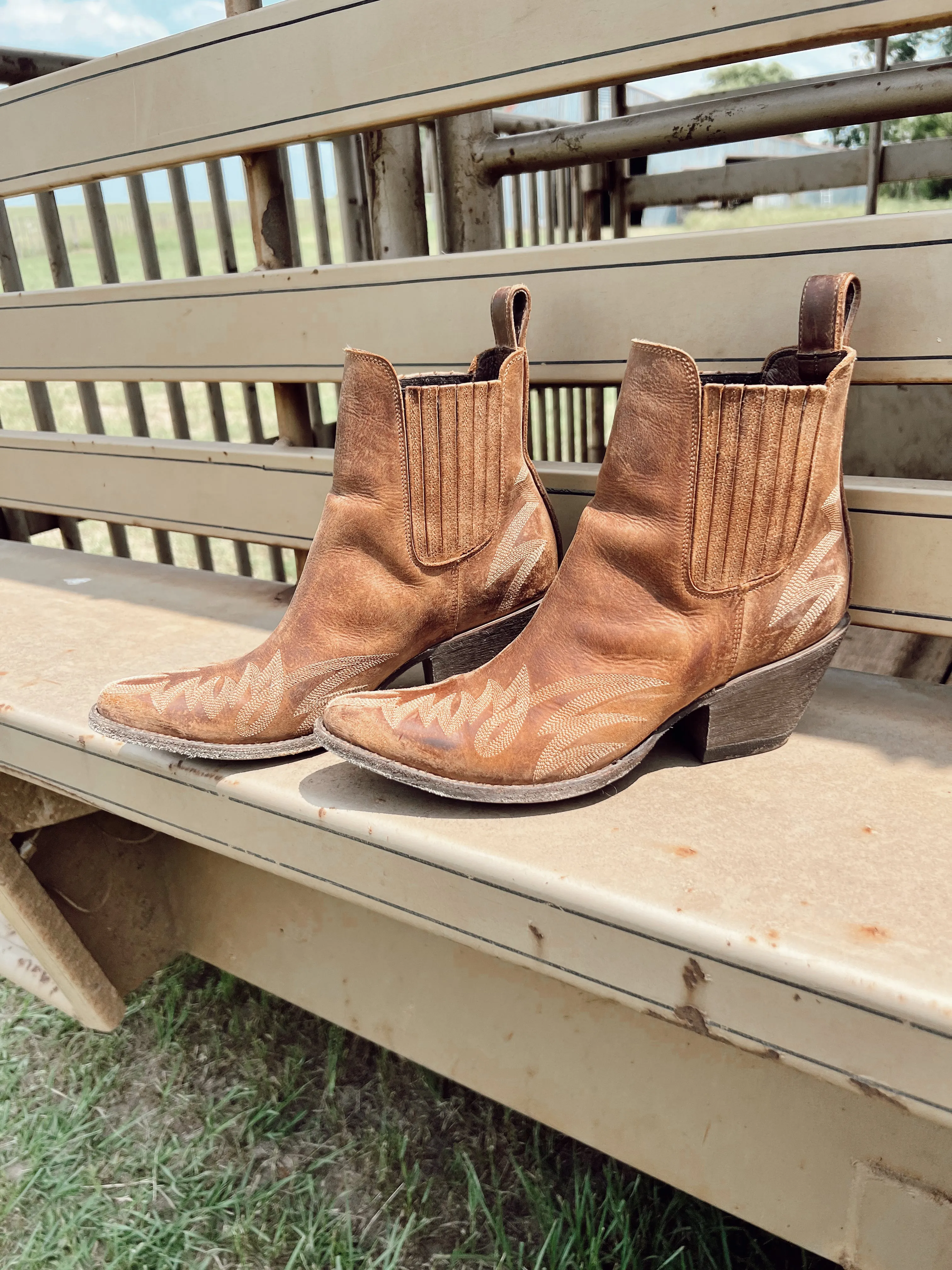 Old Gringo Gaucho Booties in Honey