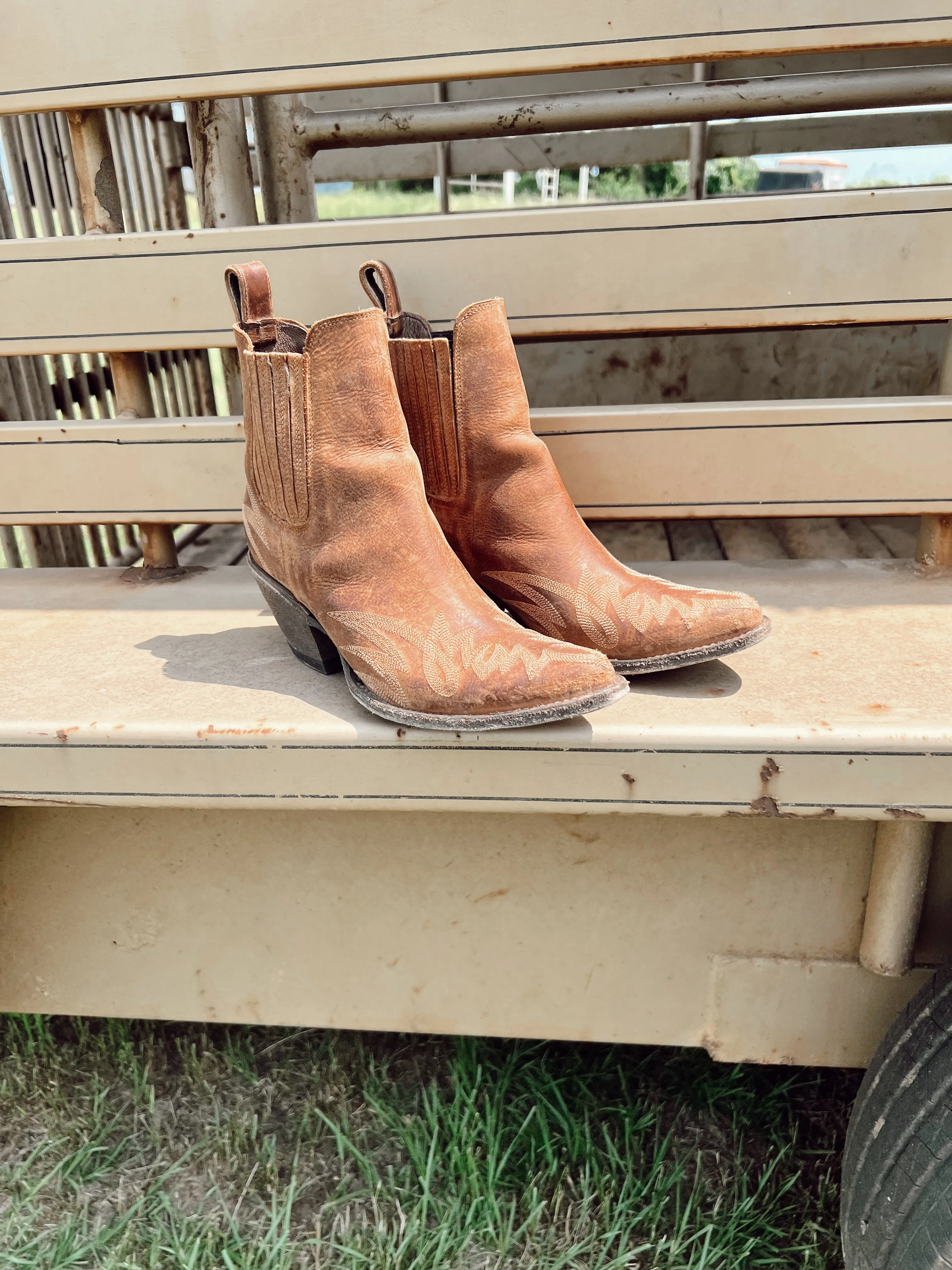 Old Gringo Gaucho Booties in Honey